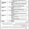 Open Testing Service Vacancies in Ministry of National Health Services, Regulation and Coordination