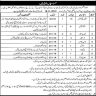 Vacancies in Quaid-e-Azam Library BPS-01 to BPS-15