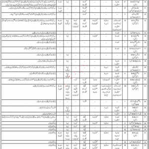 Teachers Clerks Jobs Announced By Fgei C G