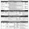 PPSC Vacancies Advertisement No. 11 & 12 / 2020