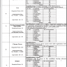 Thousands Jobs Opportunities in Health Department Punjab 2020