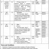 Finance Division (Main) Job Opportunities 2020 through ITS