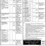 Ministry of Interior Jobs Oct 2020 Directorate General Civil Defence