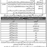 Secondary School Teachers (SST) Jobs 2020 through NTS in KPK