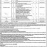 WAPDA Jobs Oct 2020 through PTS