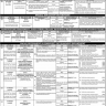 PPSC Local Govt Department and Special Education Department Jobs