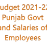 Budget 2021-22 Punjab Govt and Salaries of Employees