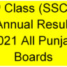 9th Class (SSC-I) Annual Result 2021 All Punjab Boards