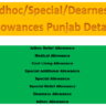 Detail of Allowances Punjab Government Employees Since 1990