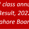 9th class annual Result, 2022 Lahore Board