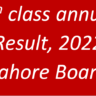 9th Class Annual Result, 2022 Lahore Board