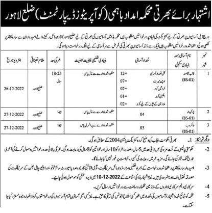 Punjab Government Jobs 