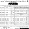 Medical Field Jobs in Jamshoro and Hyderabad