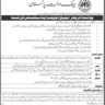 State Bank Pakistan Job November 2022