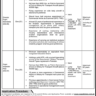 Pakistan Civil Aviation Authority (PCAA) Vacancies 2023