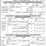 Social Welfare and Bait-ul-Maal Department Vacancies