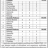 Vacancies of Faculty Members in Health Department Balochistan