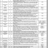 Capital Hospital Islamabad Vacancies March 2023