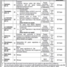 Vacancies in Polytechnic Institute for Women Islamabad 2023