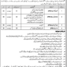 Vacancies in National Archives of Pakistan Cabinet Division 2023