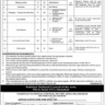 Vacancies in Pakistan National Council of the Arts 2023