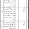 BPS-05 to BPS-15 Vacancies through STS in Provincial Drug