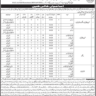 BS-01 to BS-04 Vacancies 2023 in College Education Department Shaheed Benazirabad