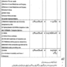 Health Department Vacancies 2023 Azad Jammu and Kashmir