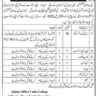 Latest Vacancies in Cadet College Jaffarabad 2023