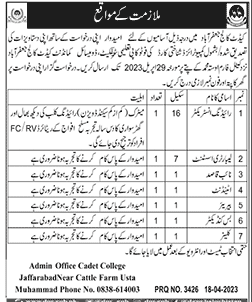 Latest Vacancies in Cadet College Jaffarabad 2023