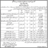 Ministry of Religious and Inter Religion Affairs Vacancies 2023