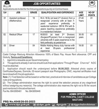 BPS-04 to BPS-18 Contract Based Jobs in Cadet College Mastung