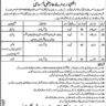 Government Jobs in Punjab Lahore on Temporary Basis