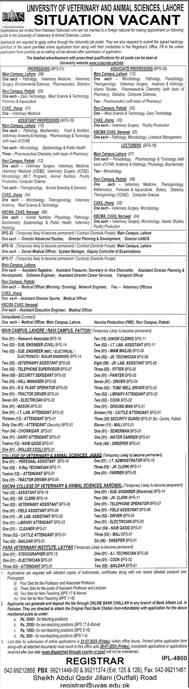 University of Veterinary and Animal Sciences Lahore Vacancies 2023