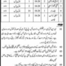 Highways Division Dadu Sindh Vacancies July 2023