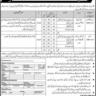 Hundreds Vacancies of Auditors and Sub-Accountants in Treasury Department Sindh Government