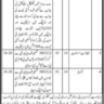 Jobs in Government of Sindh Energy Department 2023