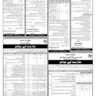 Job Vacancies Sindh Govt July 2023 in Different Departments