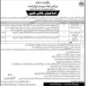 Works and Services Department Govt of Sindh Jobs 2023