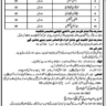 Para Medical Certificates Courses Admission Open in Sheikh Zaid Medical Institute 2023