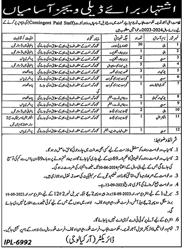 Tourism Department Punjab Vacancies 2023