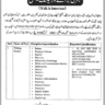 Visiting Faculty Vacancies 2023 in Rawalpindi Women University