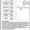 Charge Nurses (BPS-16) Vacancies in Punjab Govt Hospitals 2023