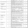 Punjab Health Department Oct 2023 Vacancies