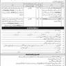 Pakistan Armed Services Board Ministry of Defence Vacancies 2023