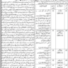 Vacancies in District and Session Court Jamshoro Nov 2023