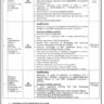 Bureau of Statistics Punjab Planning & Development Board Vacancies 2024
