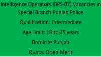 Intelligence Operators (BPS-07) Vacancies in Special Branch Punjab Police 2023