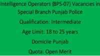 Intelligence Operators (BPS-07) Vacancies in Special Branch Punjab Police 2023