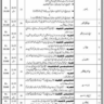 Sindh Institute of Child Health and Neonatology Vacancies 2024